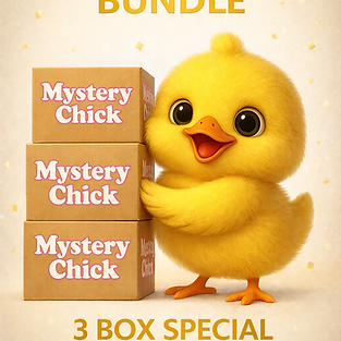 Unclaimed Returned Mail Super Box (3 Pack)